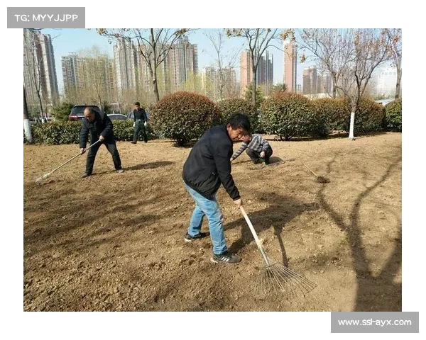 斯坦福桥草皮质量优良，养护工作广受好评